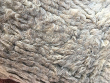 Load image into Gallery viewer, Beni Ourain Gray 6’x9’