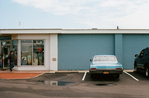 Vintage Skylark II